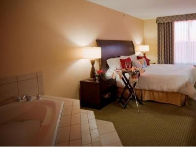 Hotel Hilton Garden Dulles North 3*